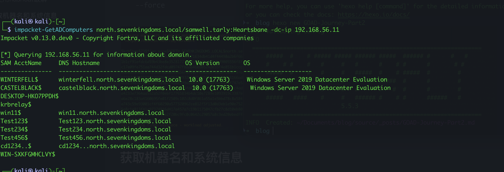 image-20251222233554401