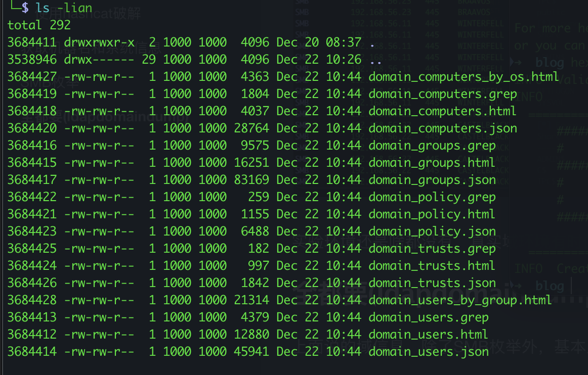 image-20251222234531048