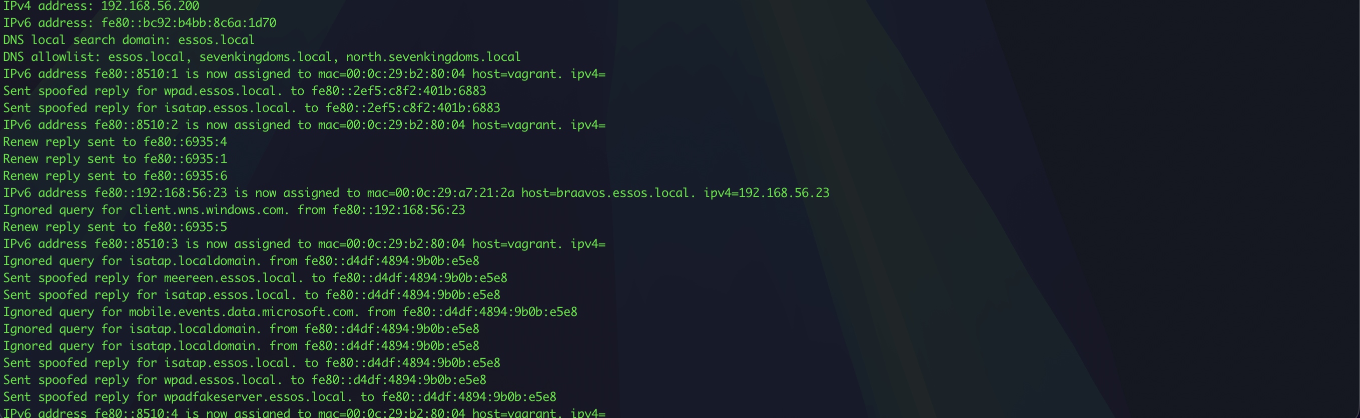 image-20260125204728470