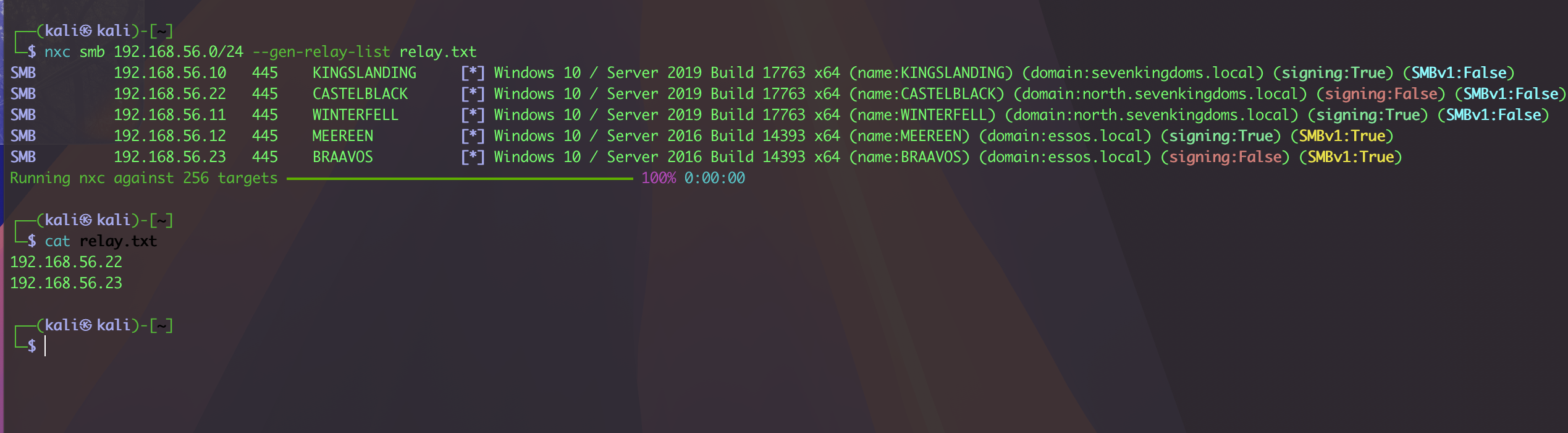 image-20260125172801930