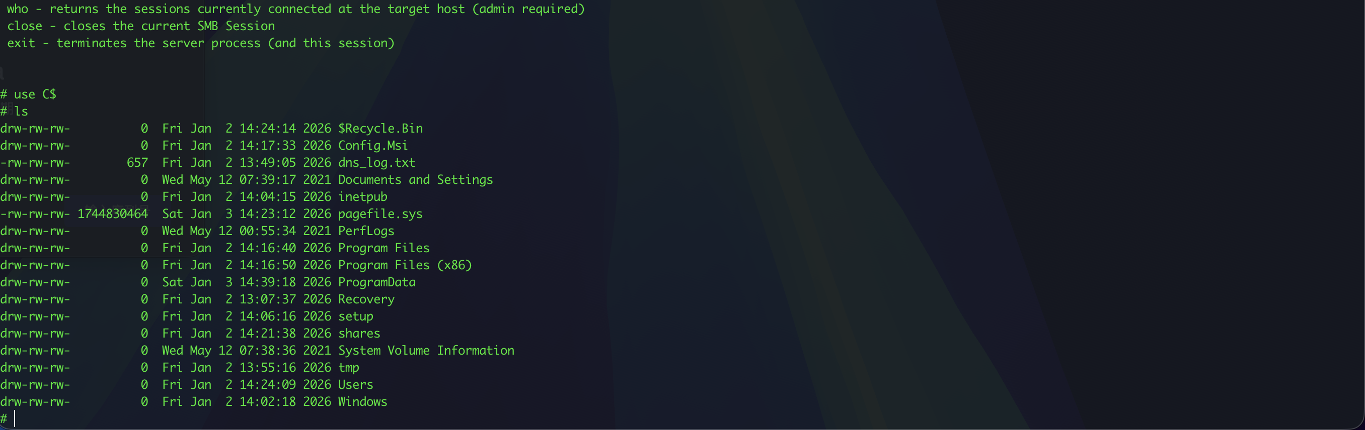 image-20260125191307829